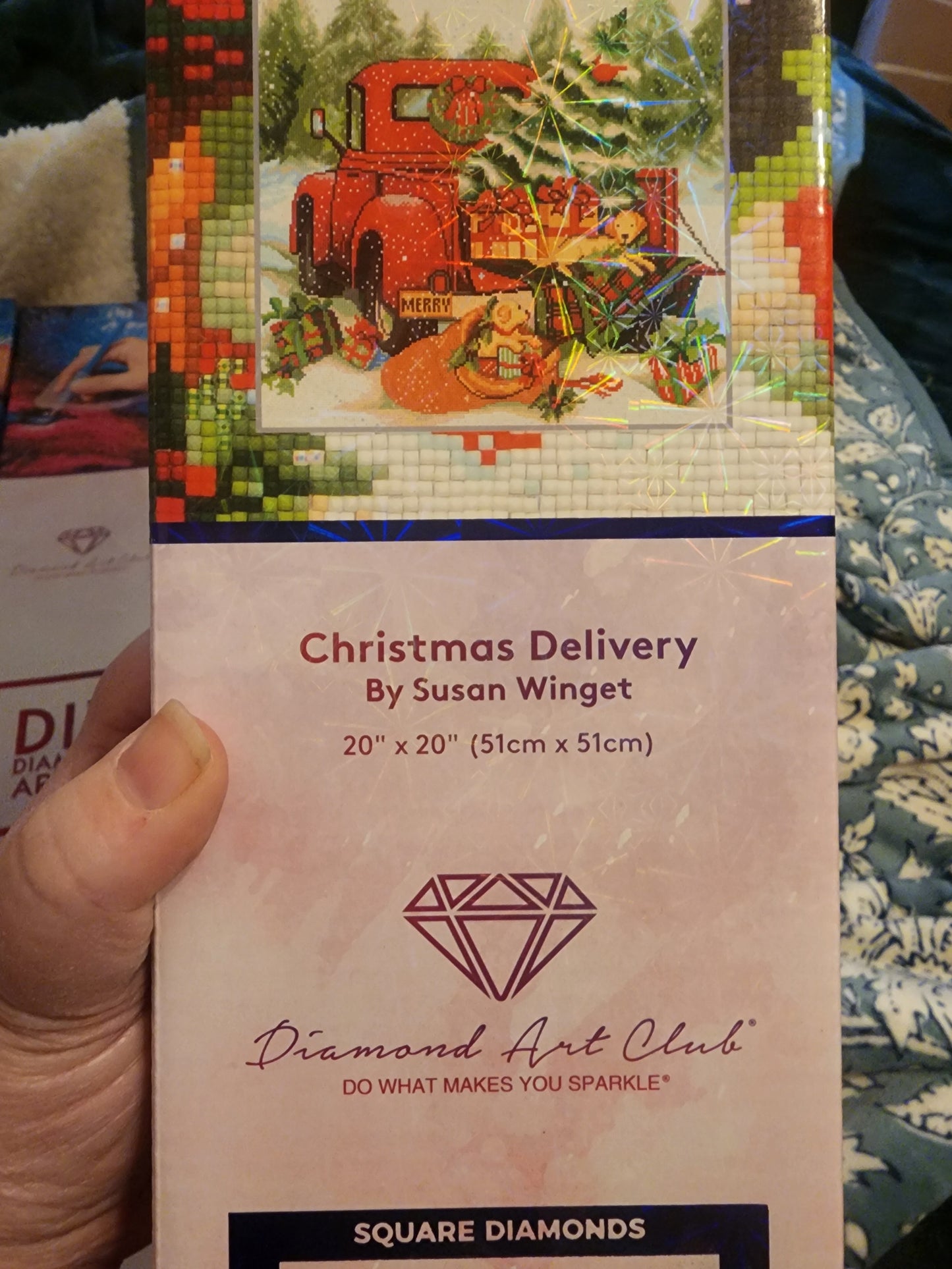 Diamond Art Club - Christmas Delivery